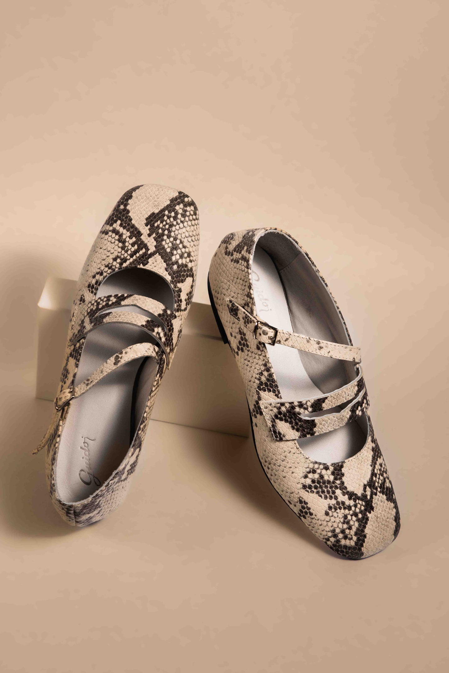 Guillermina Mary Jane Lagarto