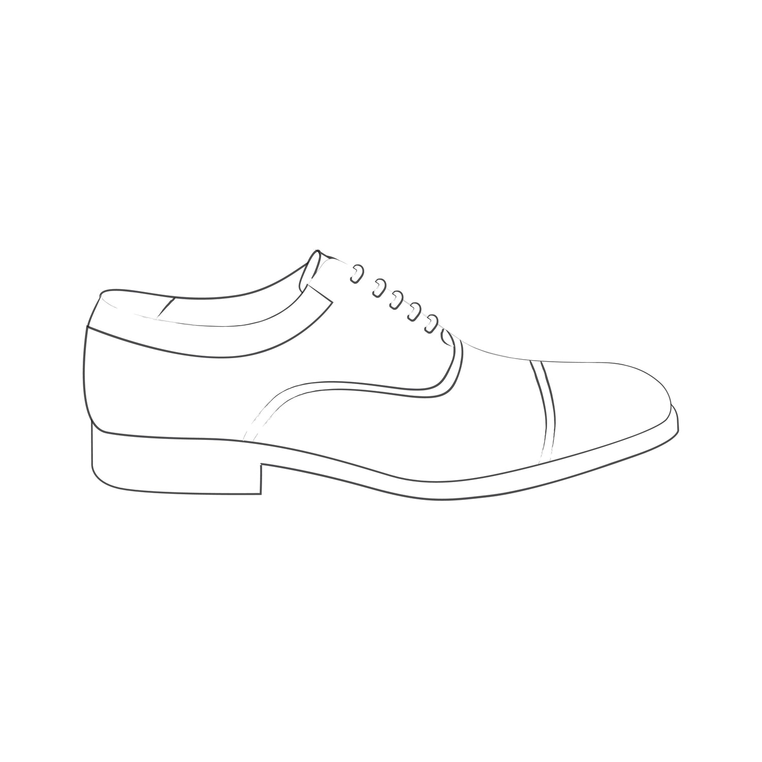 ZAPATOS ABOTINADOS