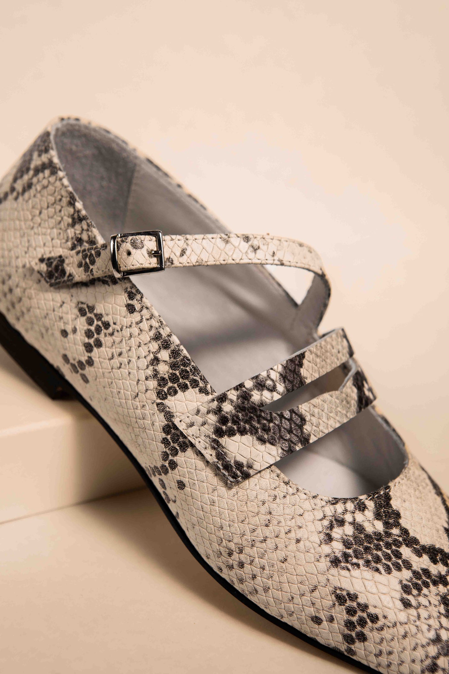 Guillermina Mary Jane Lagarto